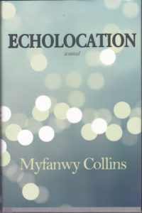 cover of echolocation by Myfanwy Collins