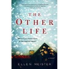 The Other Life